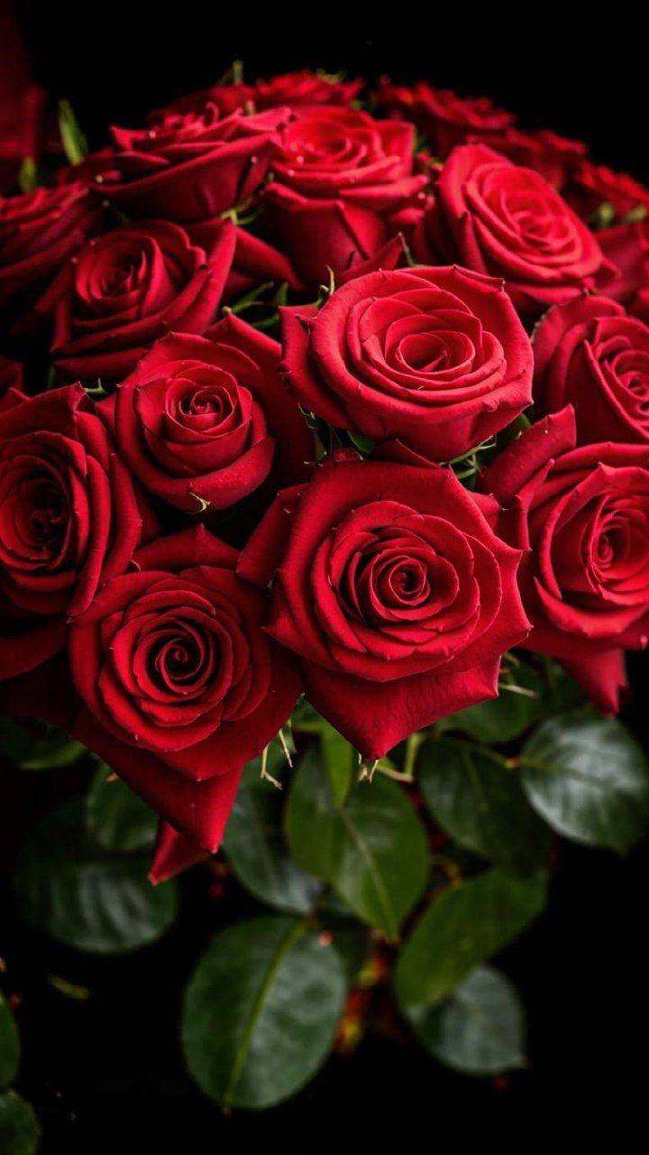 Corporate floral consultation example